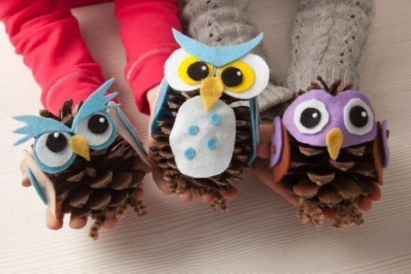 Create owl-themed pine cones!