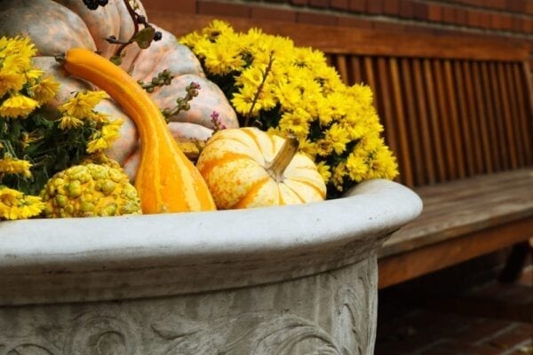 Pumpkin-themed planters