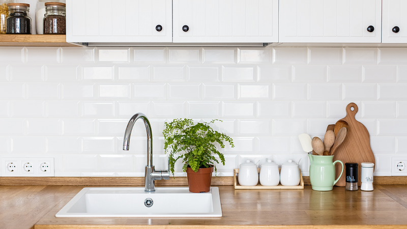 ferns in kitchen