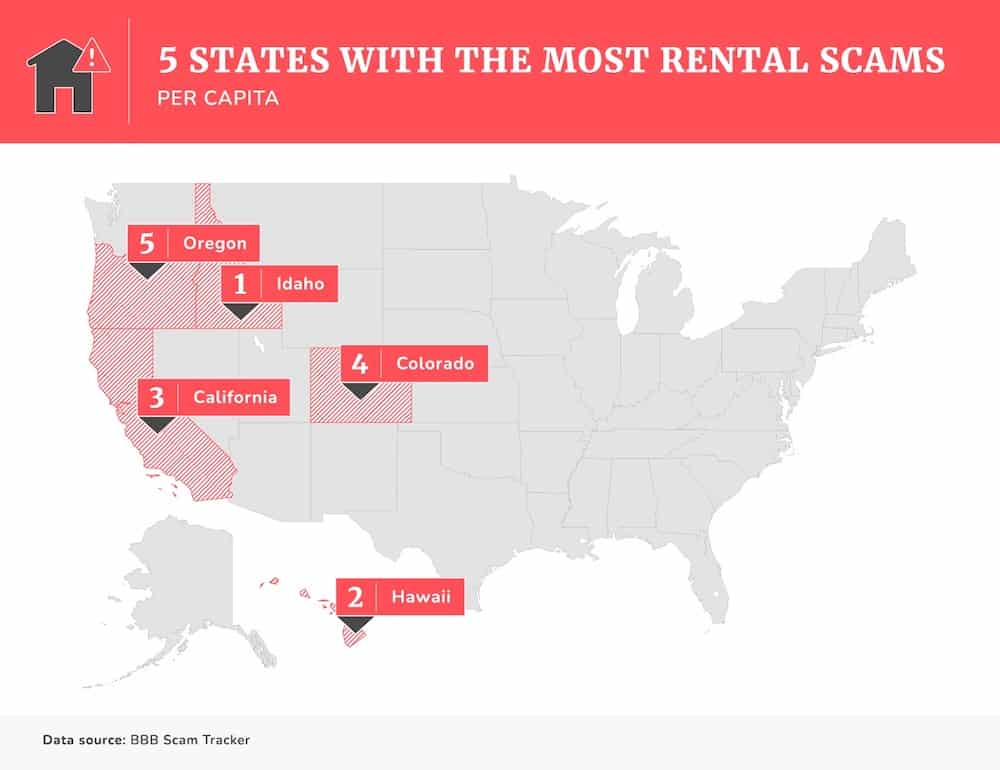 States with the most rental scams