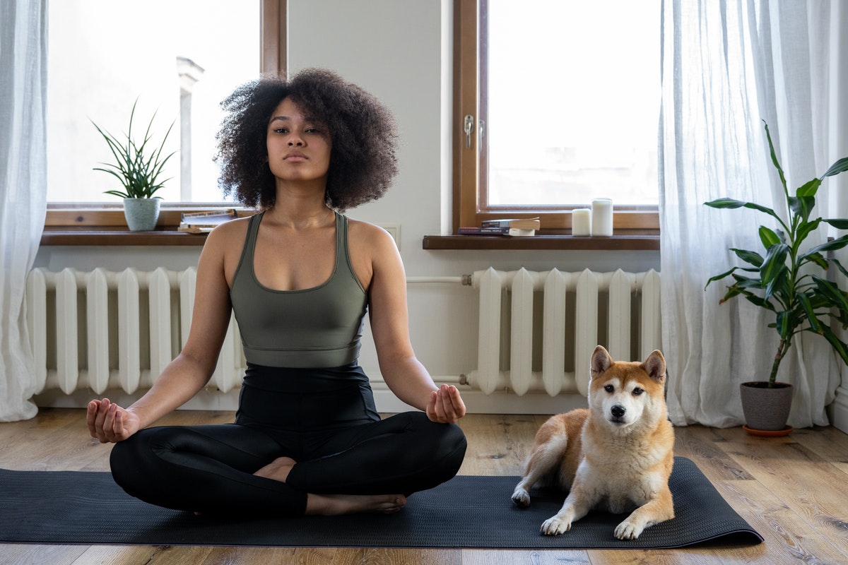 meditating with dog