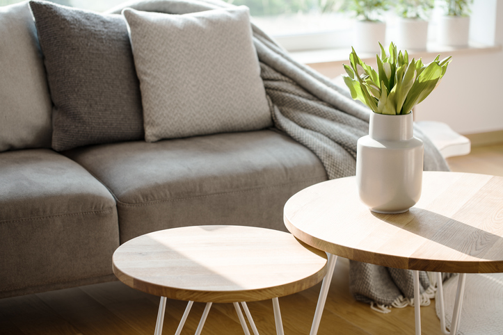 Close up of tulips on round wooden table in natural gray living room interior with sofa