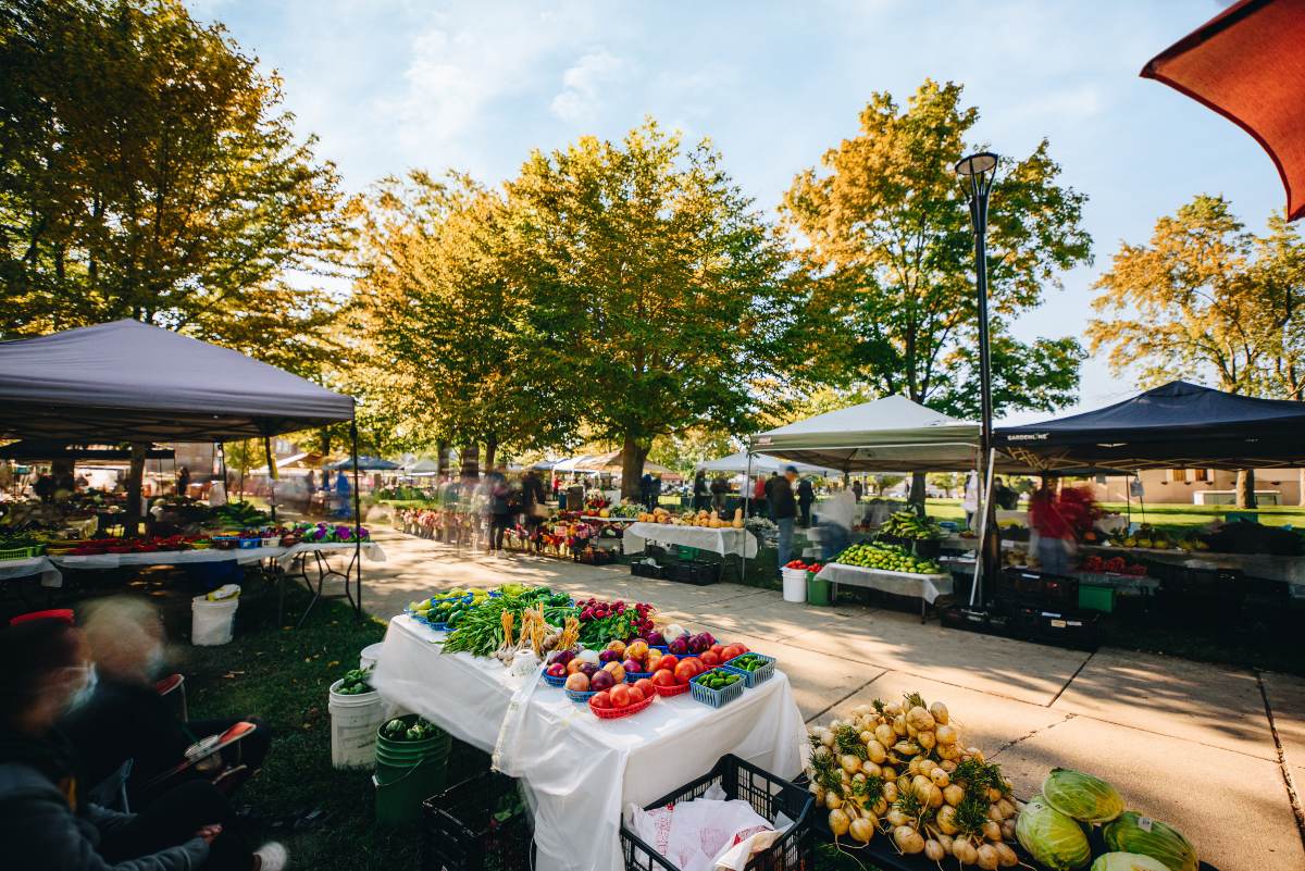 A sunny summer day farmers market.