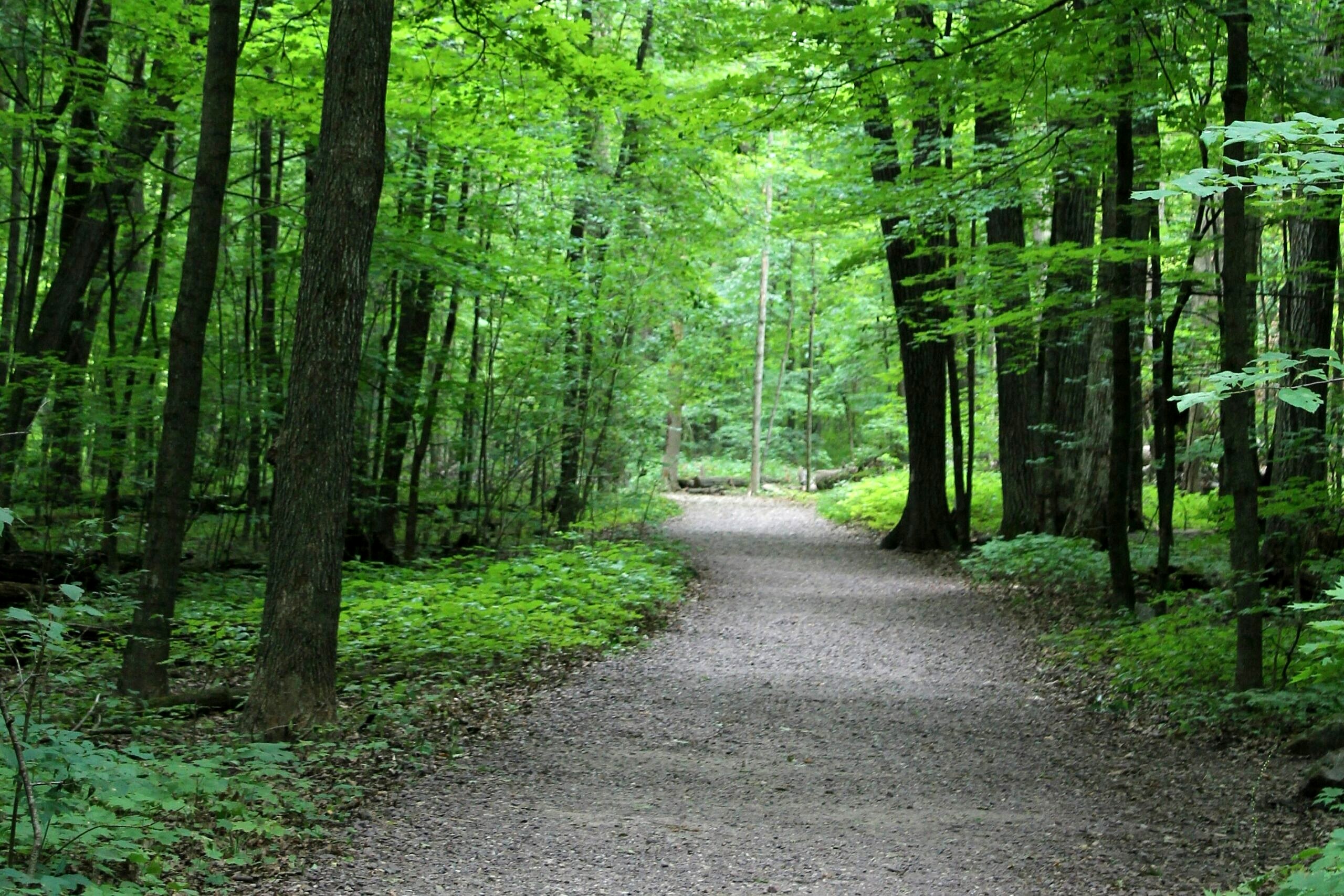 During your one day in Lynnwood, take a walk through one of the many parks.