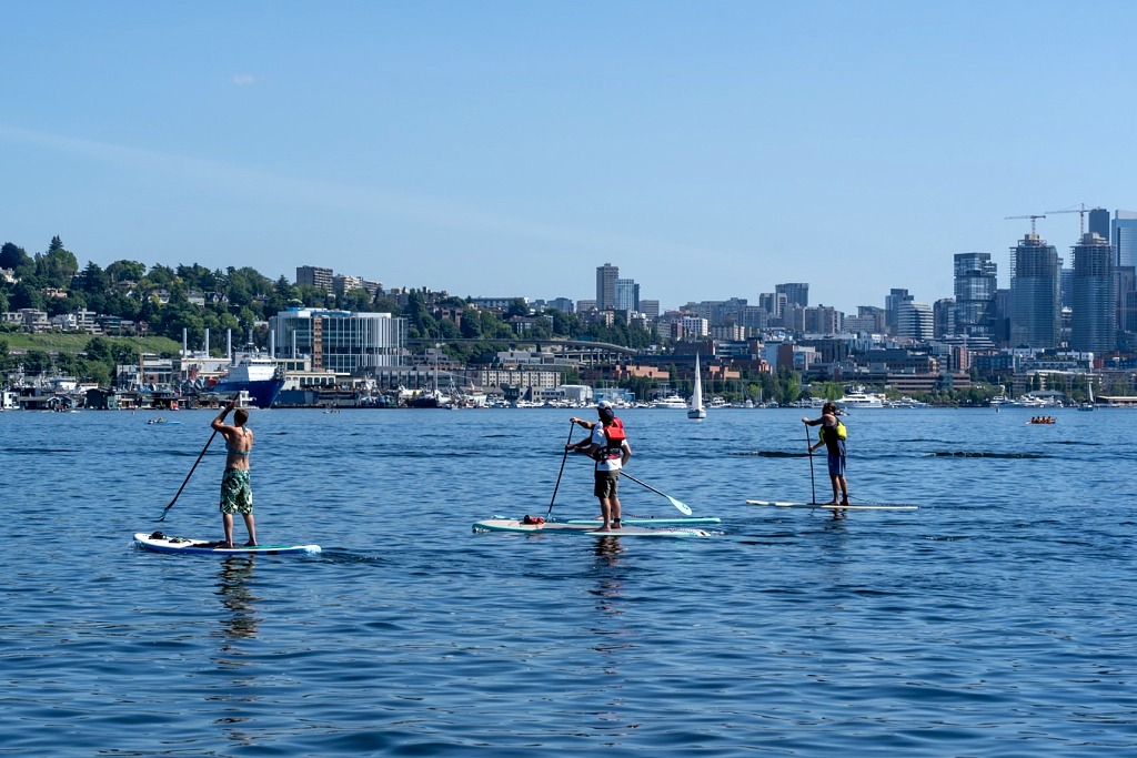 people paddle boarding lake in seattle