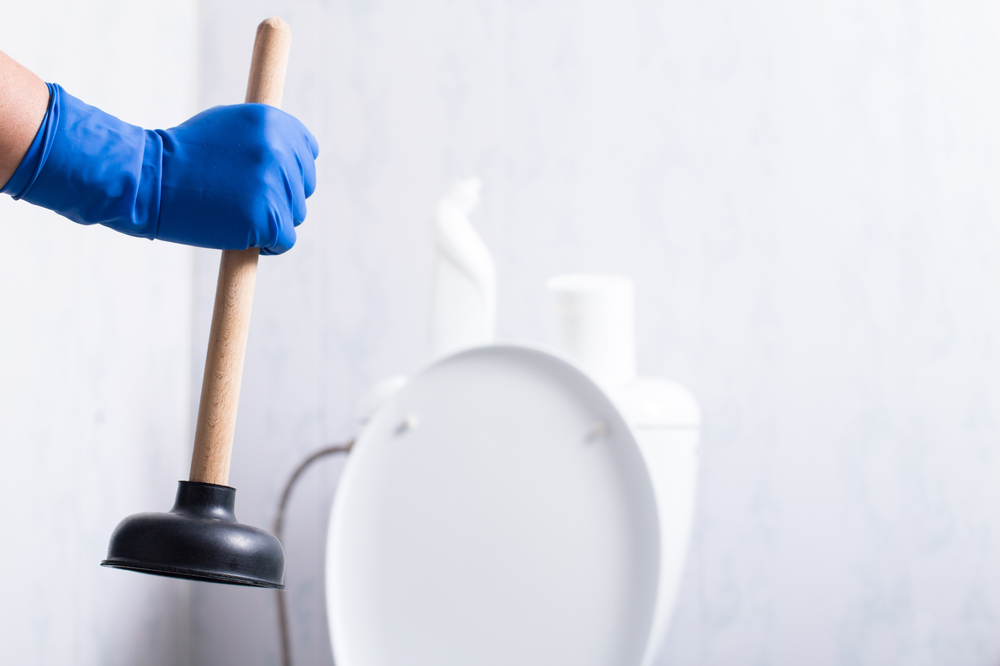 how to unclog your toilet with a plunger