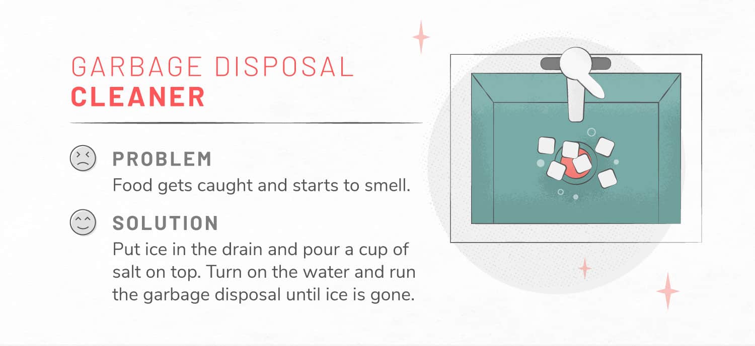 illustration of garbage disposal being cleaned with ice