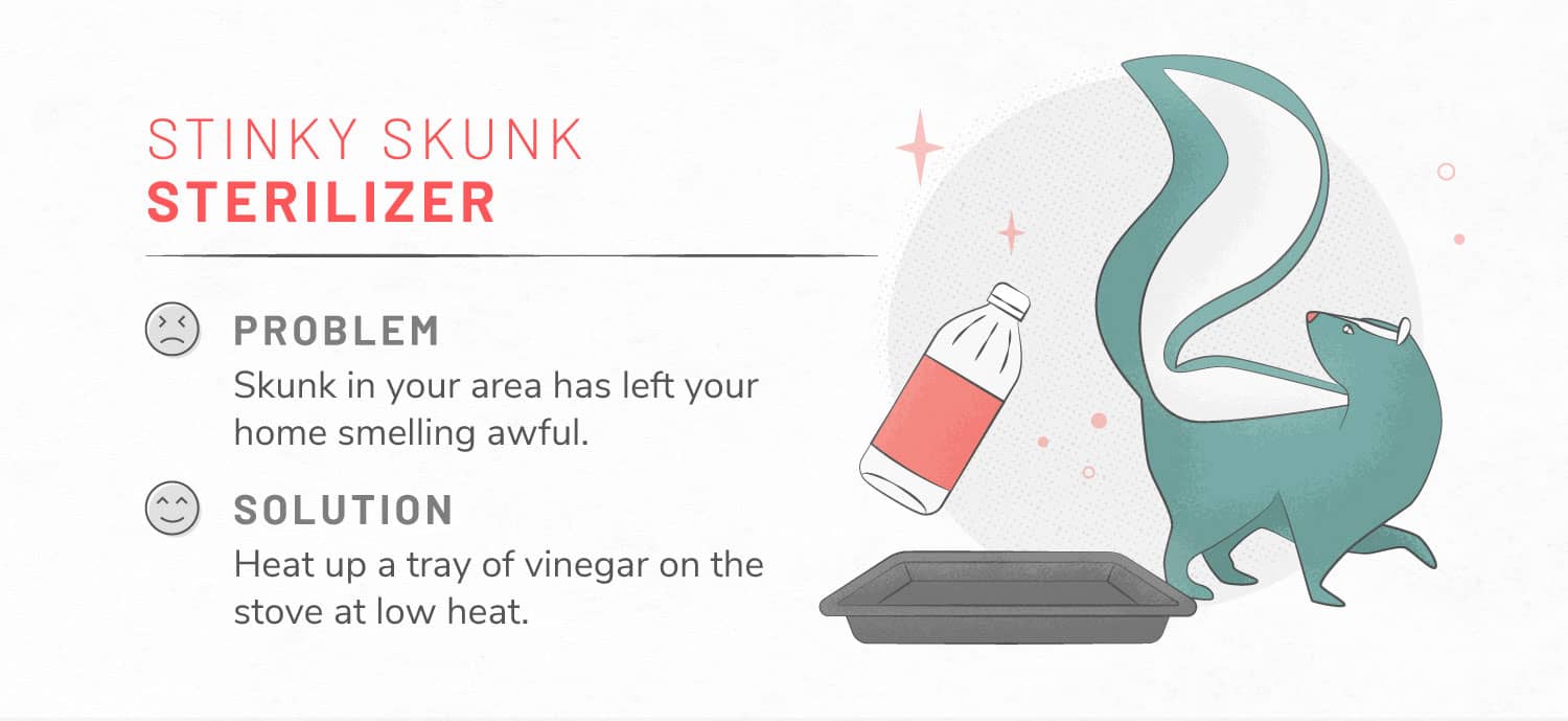 illustration of skunk and vinegar solution to deodorize a room